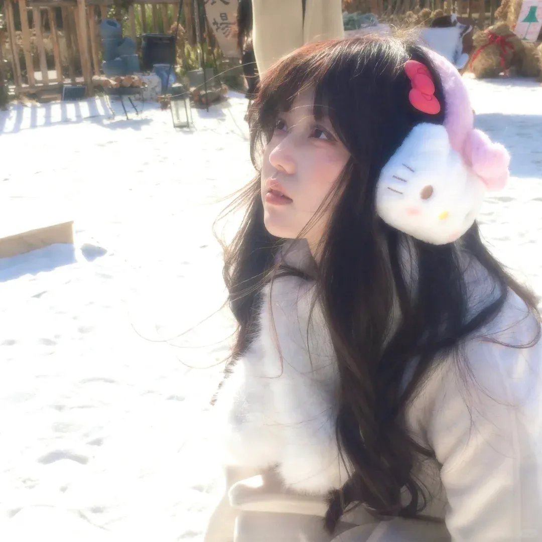 我的朋友是萌鲨