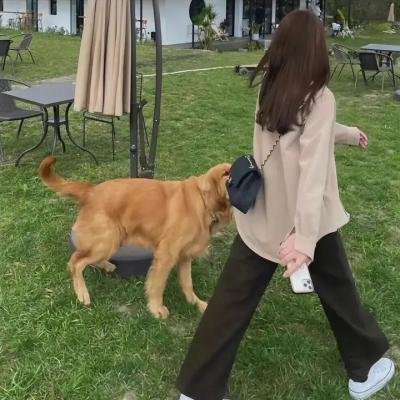 克莱儿
